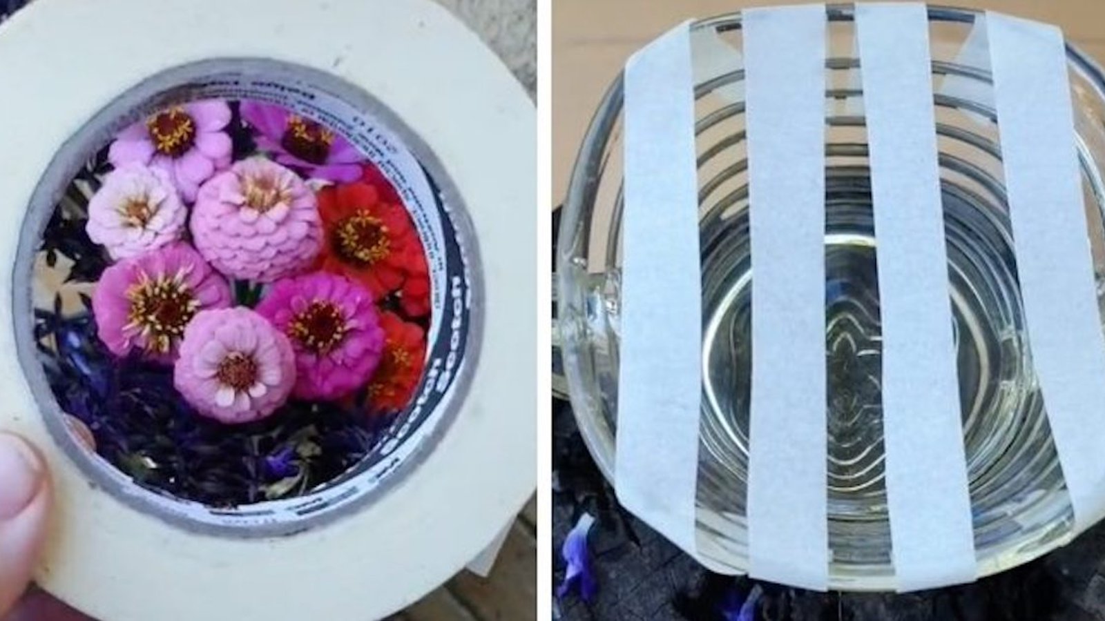 Une vidéo TikTok montre une méthode intelligente pour disposer des fleurs dans un vase comme un pro