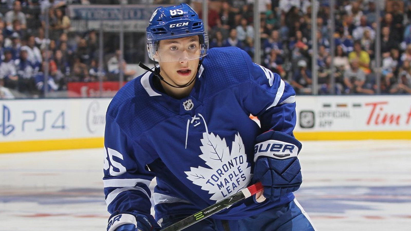 Maple Leafs promote young forward to main roster.