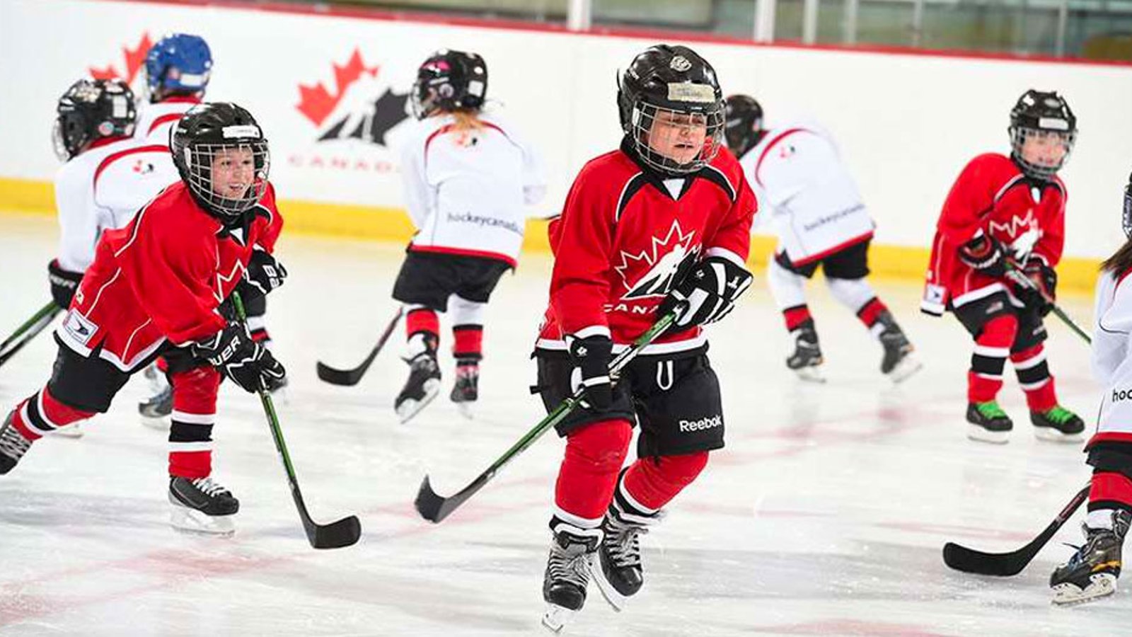 Parents say they've “lost total trust” in Hockey Canada following recent news