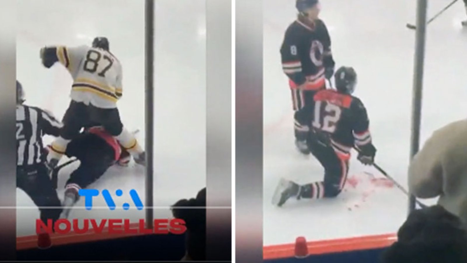 51 year old Donald Brashear ejected from game after attacking two opponents