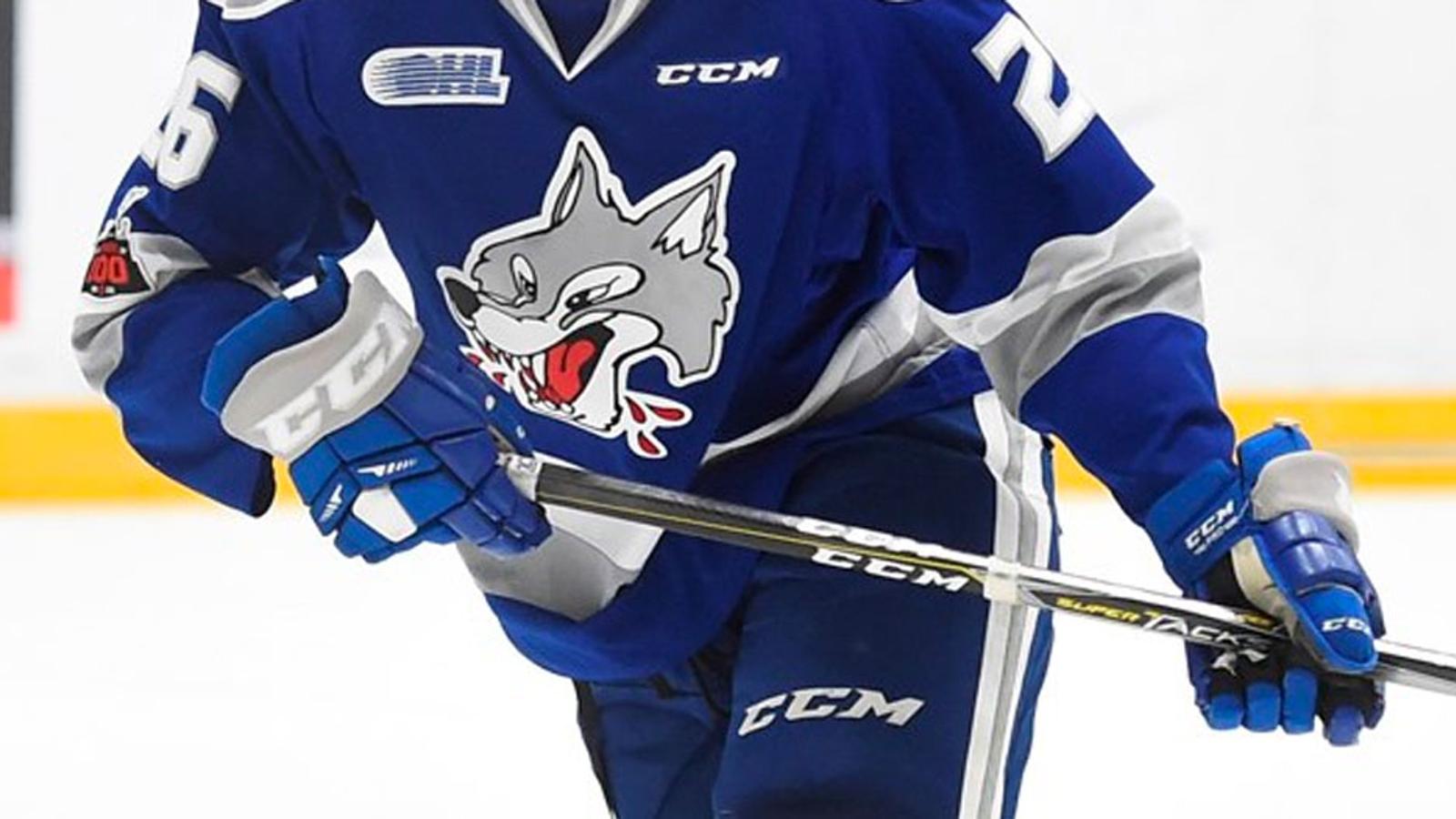 OHL suspends the Sudbury Wolves indefinitely