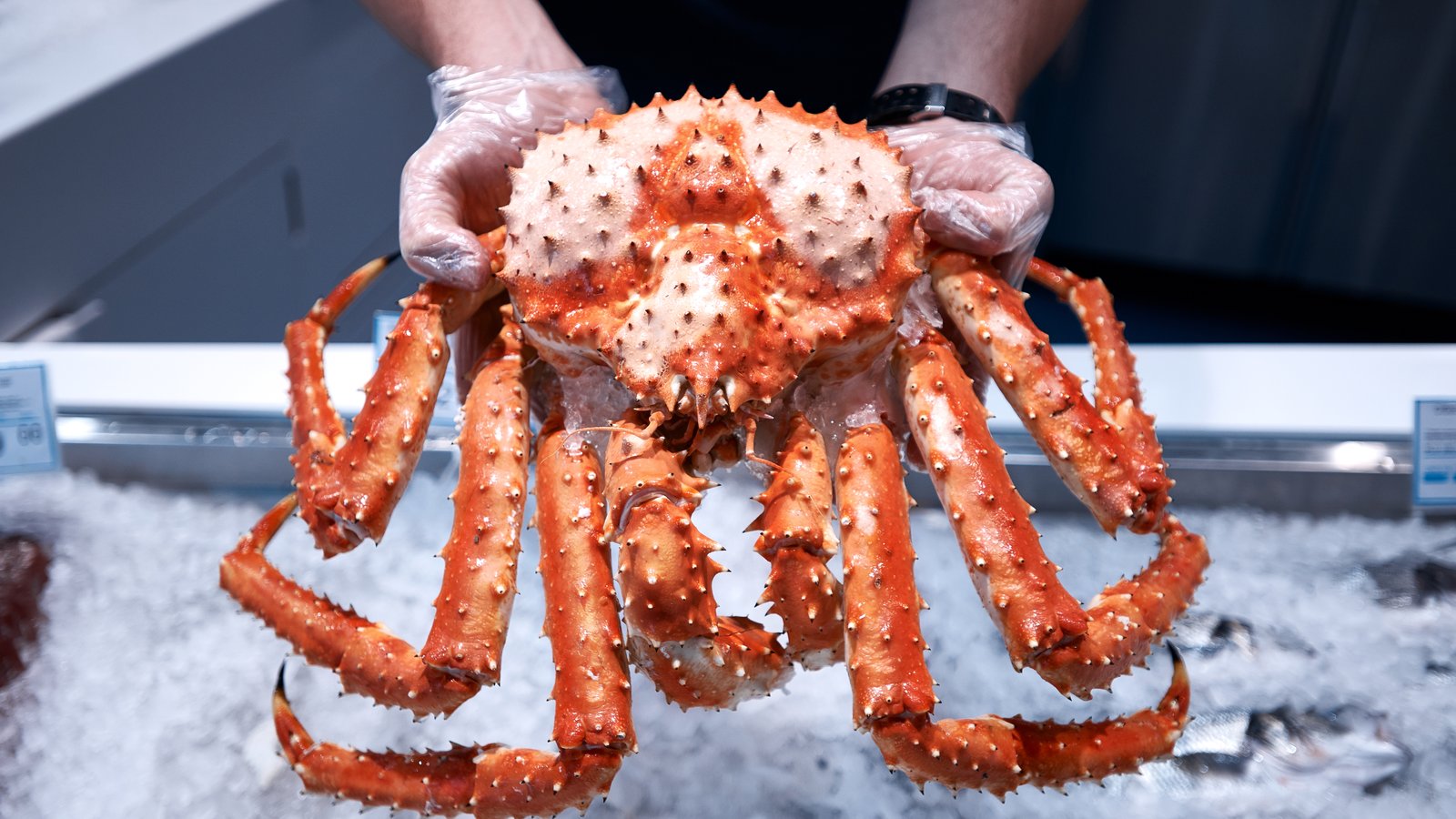 Les Québécois capotent avec le prix du crabe des neige et le boudent.