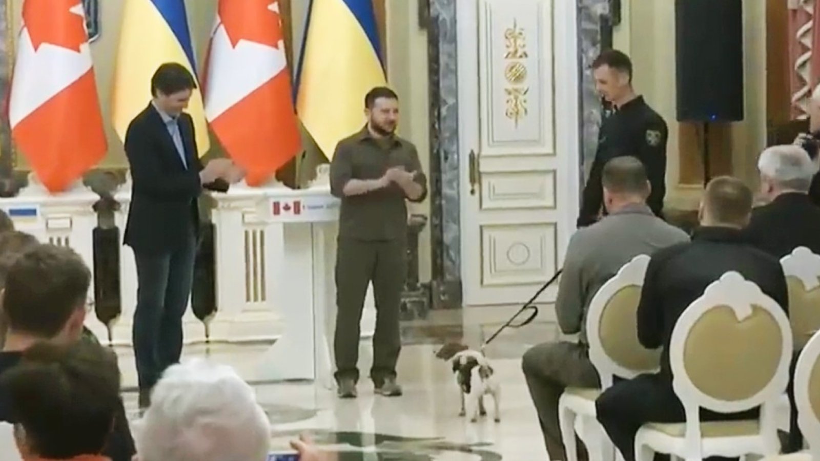 Volodymyr Zelensky décore un chien détecteur de bombes