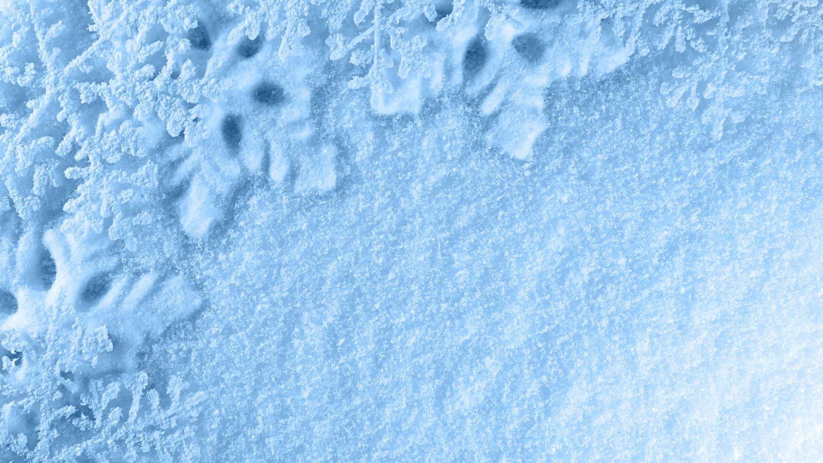 De premières accumulations de neige au Québec