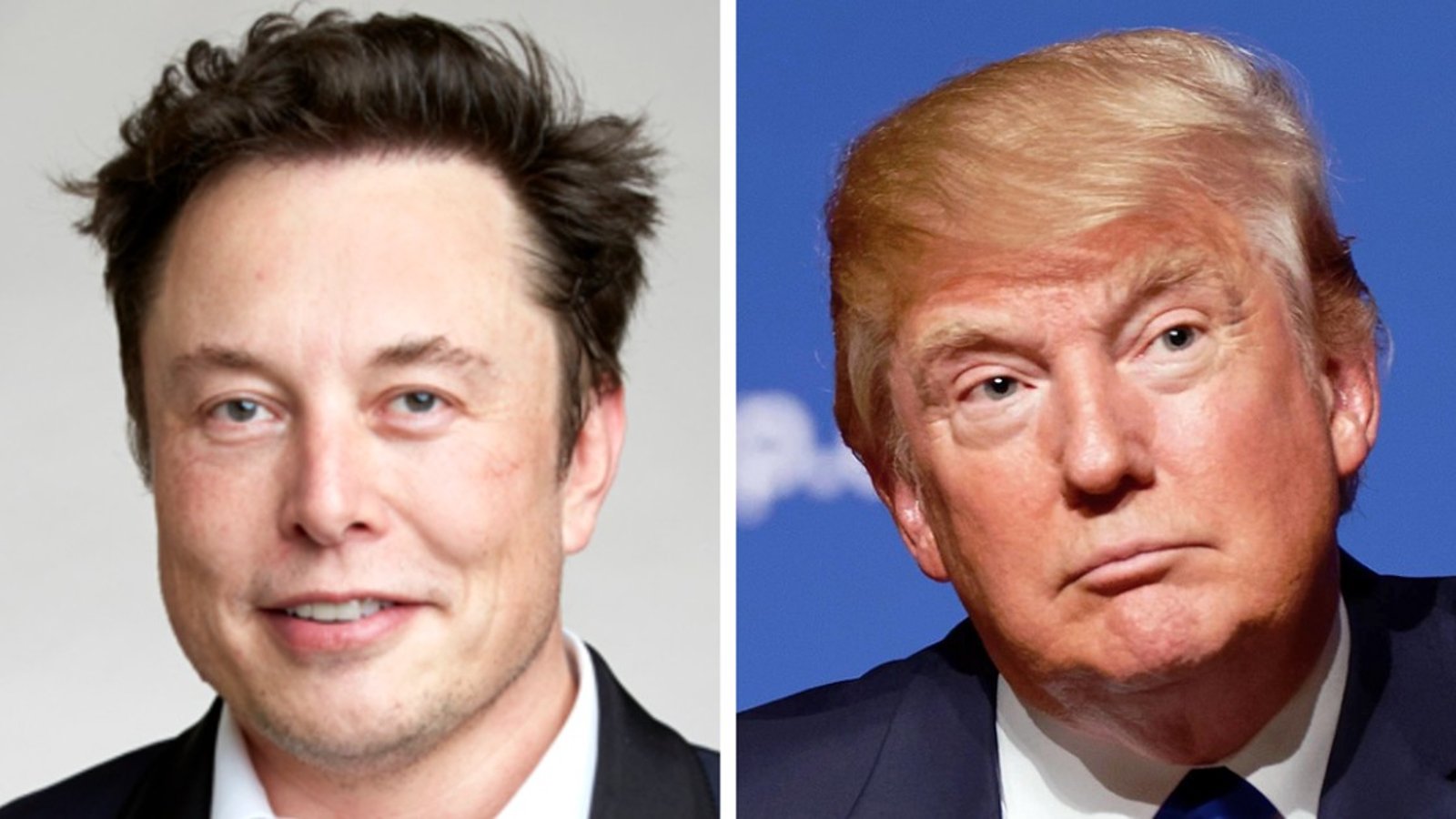 Elon Musk favorable à un retour de Donald Trump sur Twitter