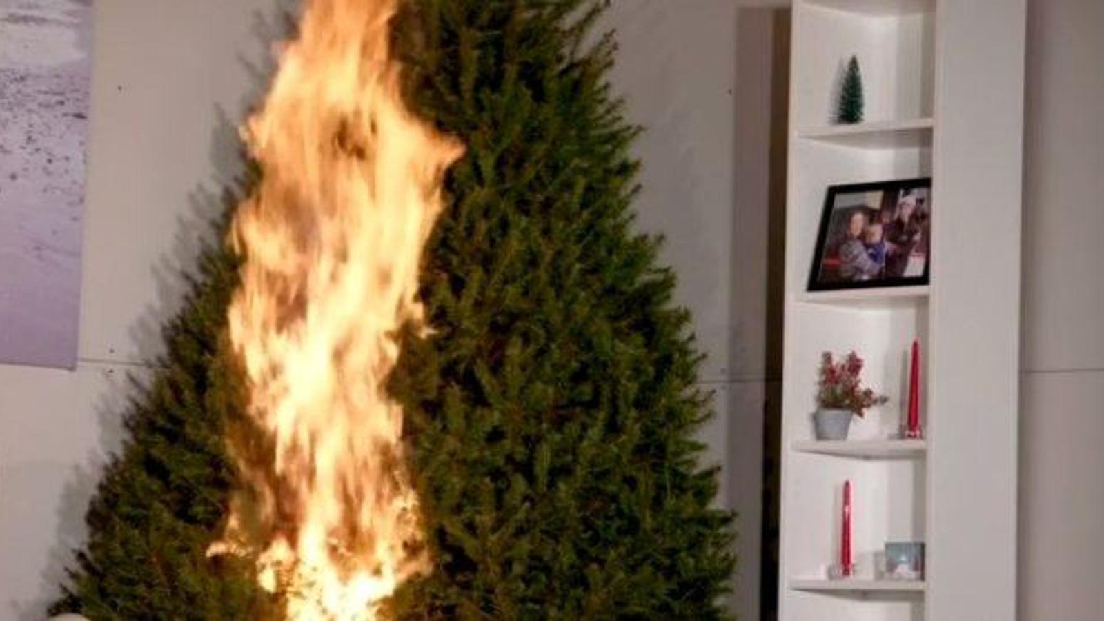 Ce truc tout simple empêchera votre arbre de Noël de prendre feu