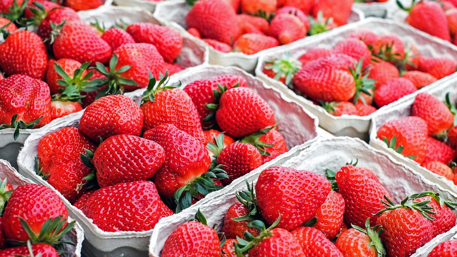 Comment conserver les fraises fraîches beaucoup plus longtemps