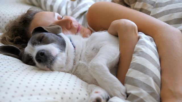 Les femmes dorment mieux avec leur chien qu'avec leur conjoint (ou leur chat)