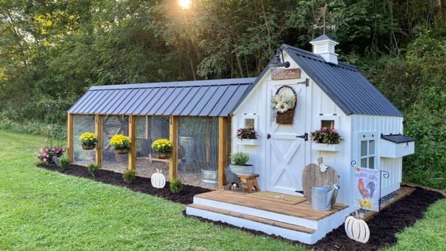 Un couple construit un poulailler de rêve dans sa cour
