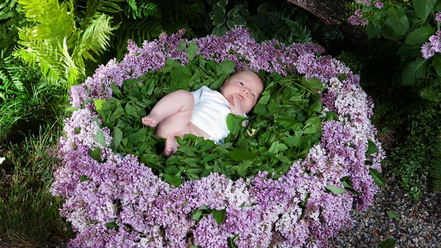 10 caractéristiques des bébés nés en mai