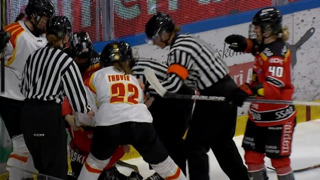 Player's throat cut by skate in Swedish final game.