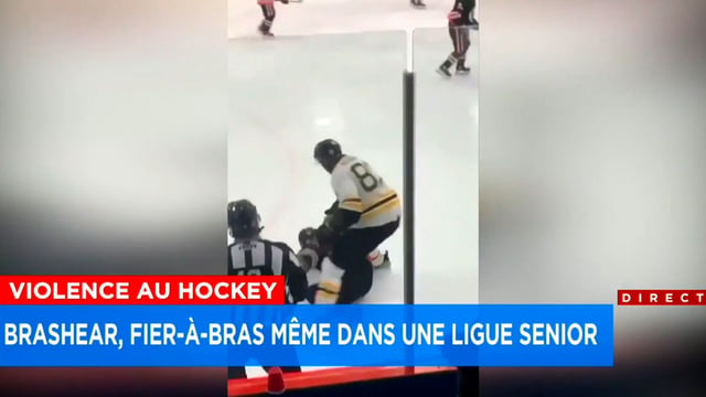 Donald Brashear goes off, takes on two guys in Quebec senior league