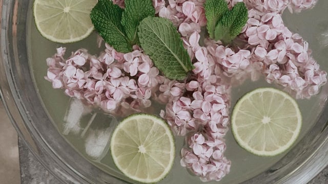 Comment préparer de la limonade au lilas