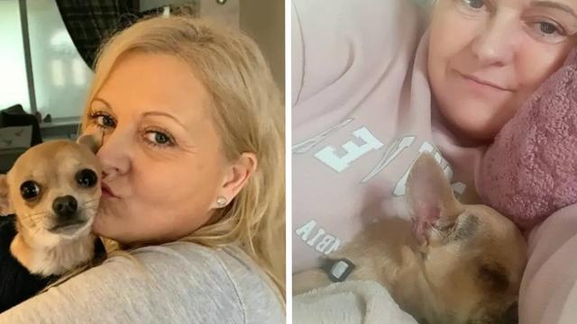 Une femme passe trois jours à l'hôpital après que son chien lui ait fait caca sur le visage